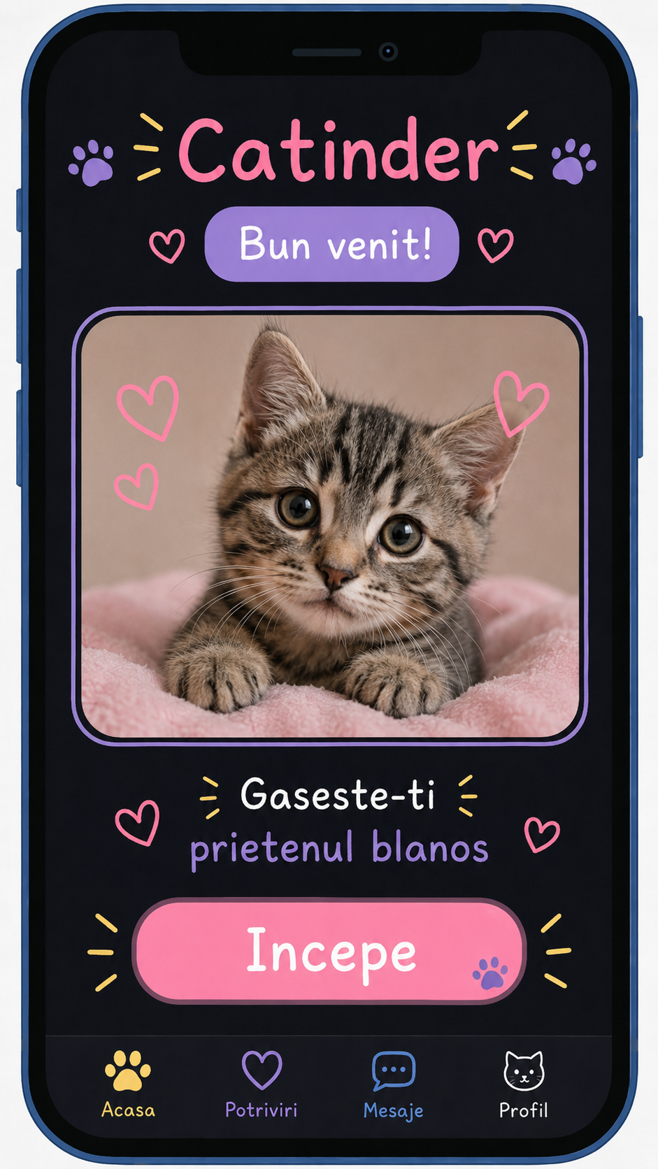 Screenshot aplicație