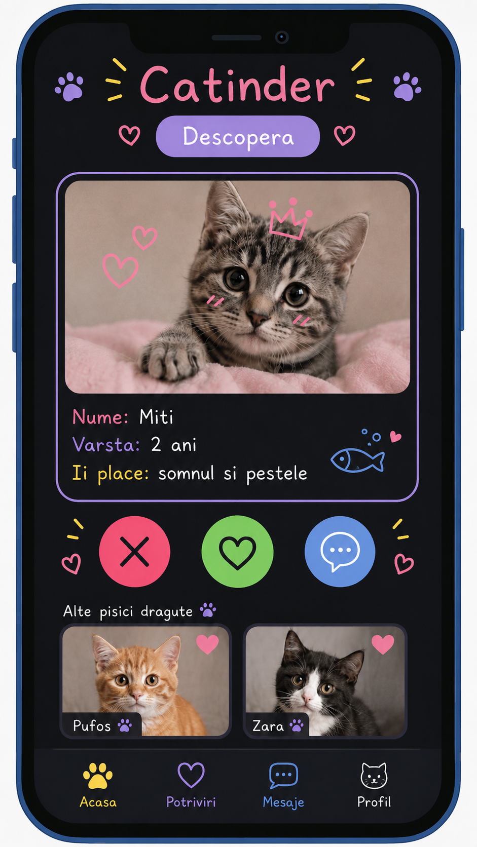 Screenshot aplicație